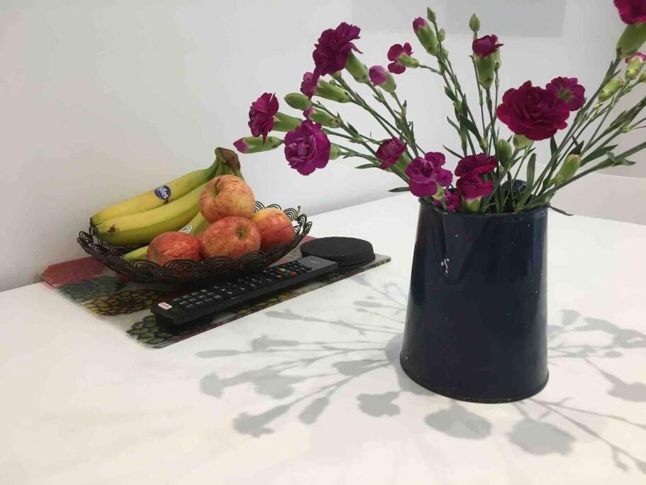 Bright And Spacious Annex Near Lymington With Private Garden Eksteriør billede